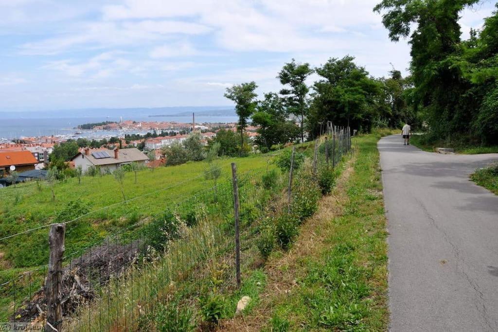 Apartment Izolanka / Great Location / Best Sea And City View Eksteriør bilde